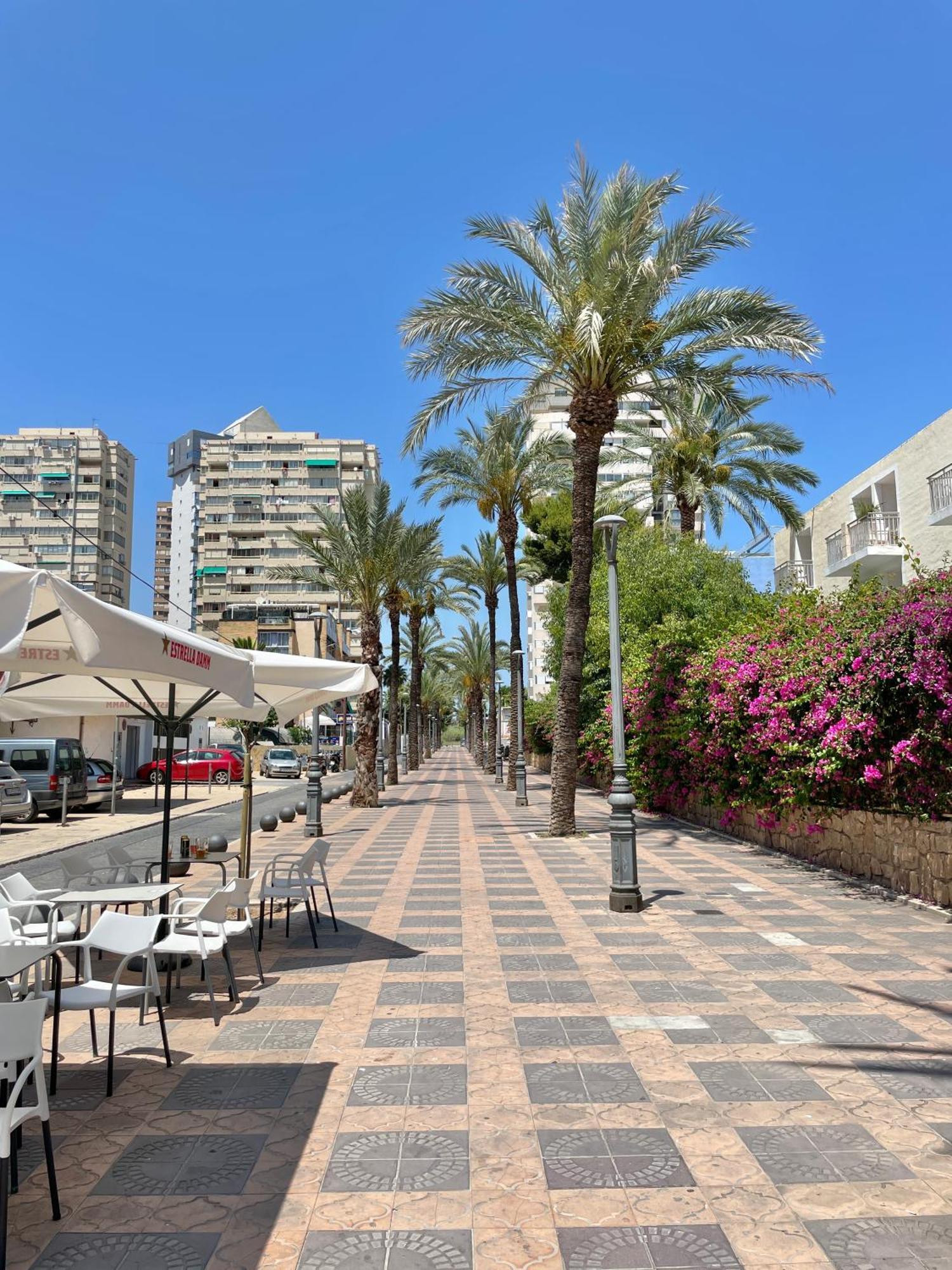 New Square Ibiza Apartment Benidorm Bagian luar foto